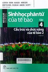 Hình bìa