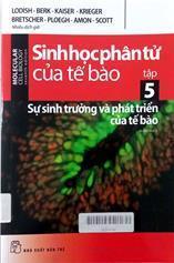 Hình bìa