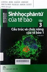 Sinh học phân tử của tế bào, tập 3